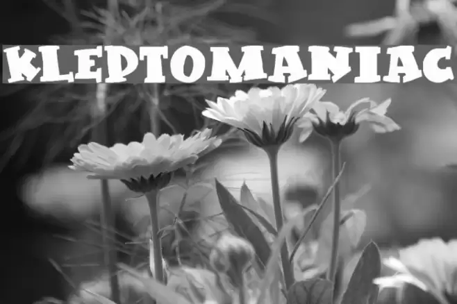 Kleptomaniac Font examples