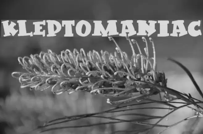 Kleptomaniac Font examples