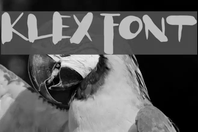 Klex Font examples