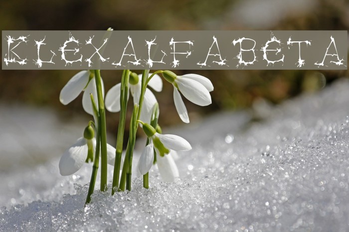 Klexalfabeta Font examples