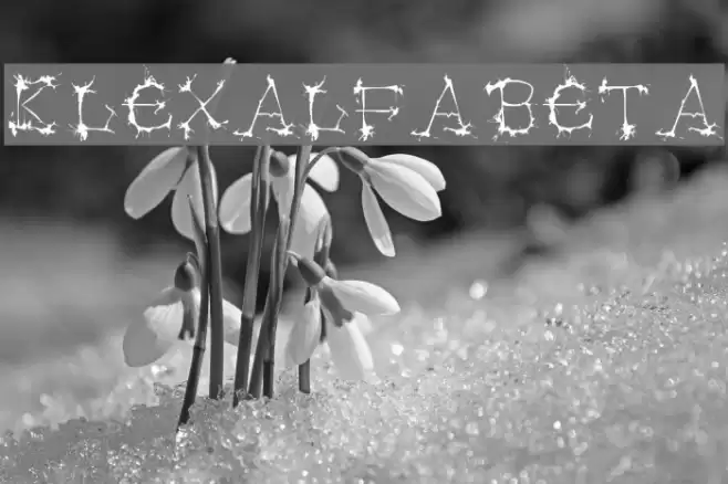 Klexalfabeta خط examples