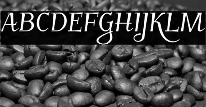 Kleymisska Font examples