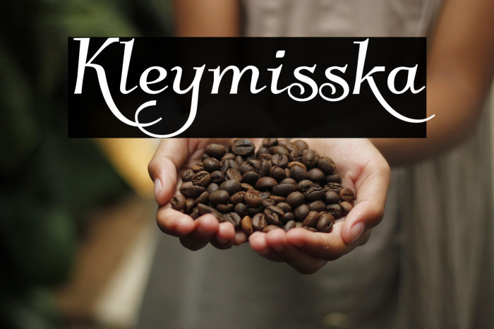 Kleymisska Example 3
