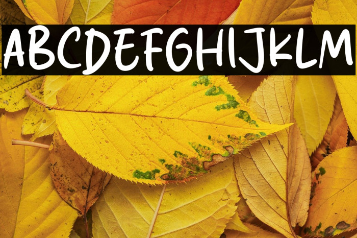 Klik Smith Example 1