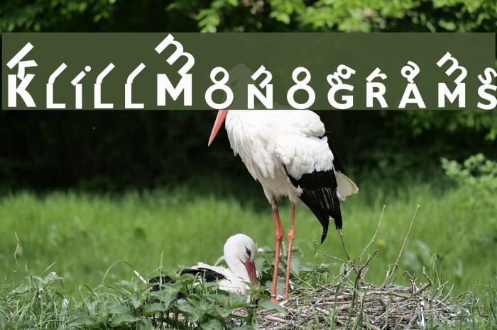 KlillMonograms Font examples