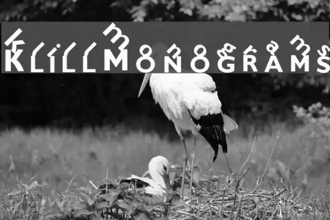 KlillMonograms Шрифта examples
