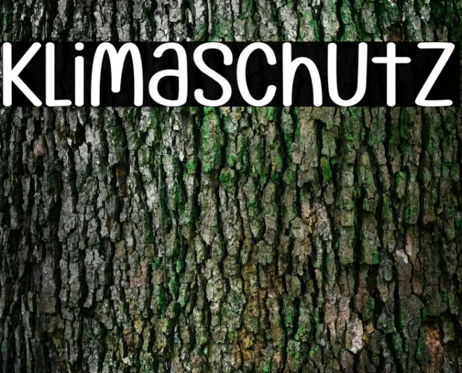 Klimaschutz Example 2