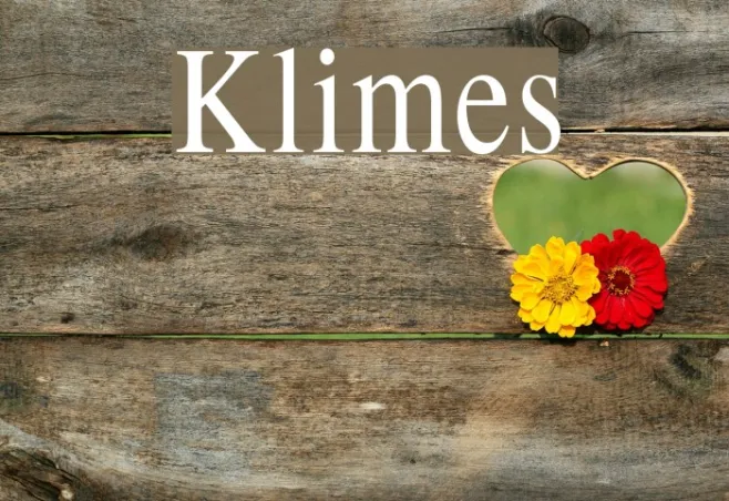 Klimes Example 3