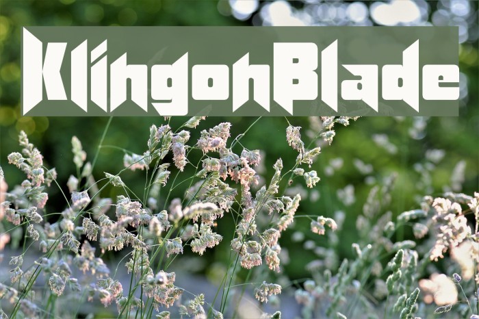 KlingonBlade Fonte examples
