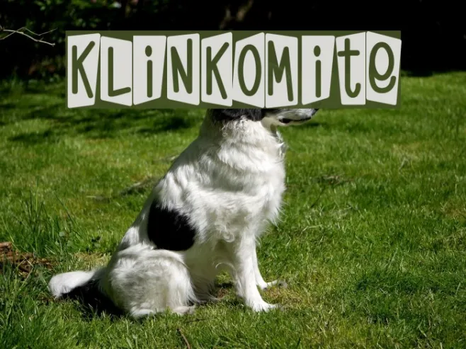 KlinkOMite Example 3