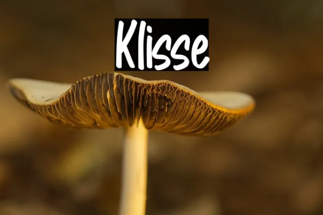Klisse Example 1