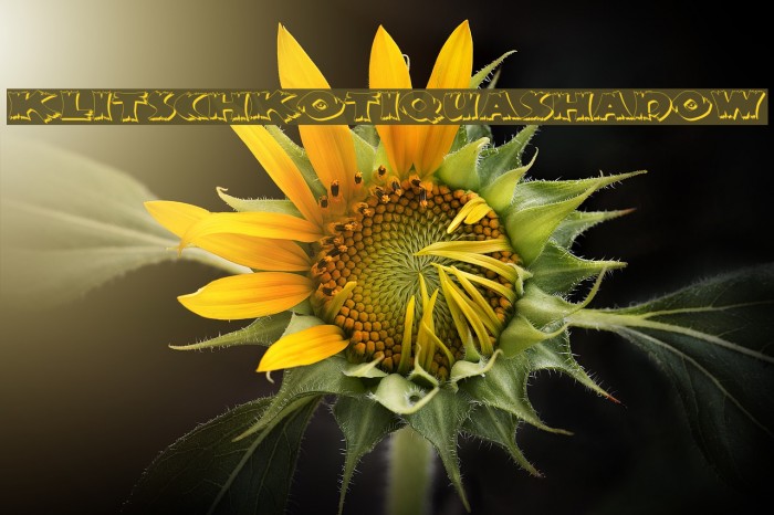 KlitschKOtiquaShadow Example 2