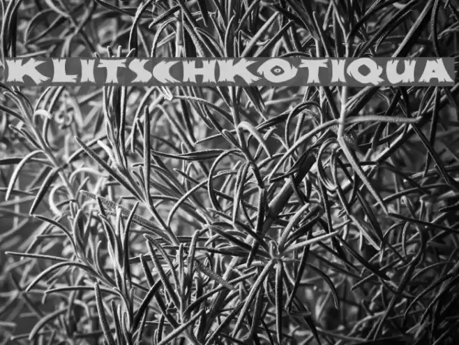 KlitschKOtiqua Шрифта examples