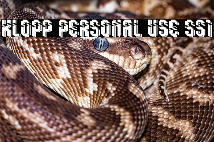 Klopp Personal Use SS1 Example 1