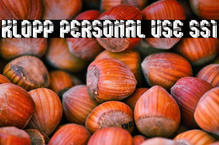 Klopp Personal Use SS1 Example 2