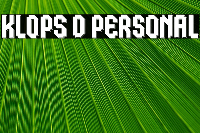 Klops D Personal Example 3