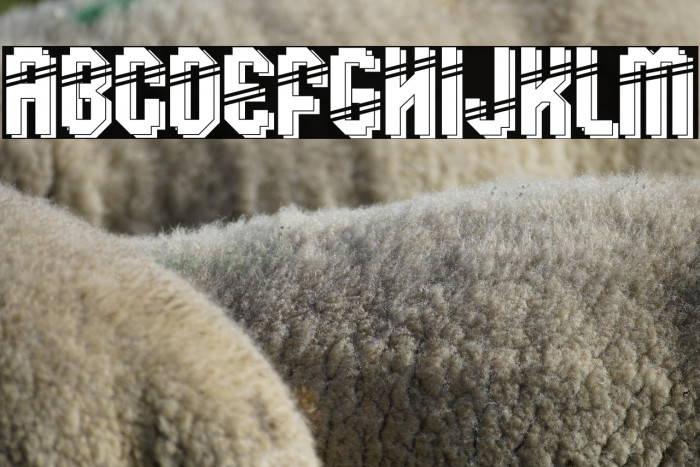 Klops Free Example 2