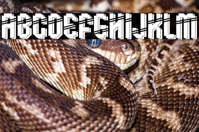 Klops Free Example 3