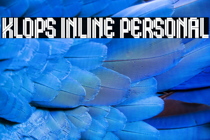 Klops Inline Personal Example 2