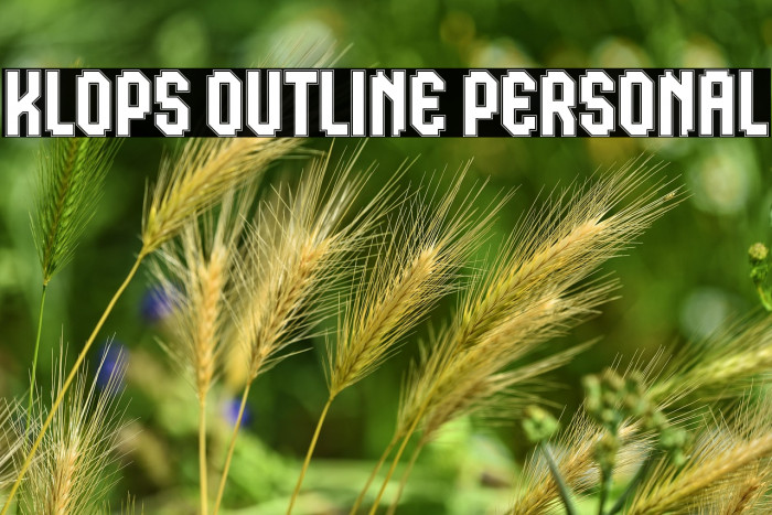 Klops Outline Personal Example 2