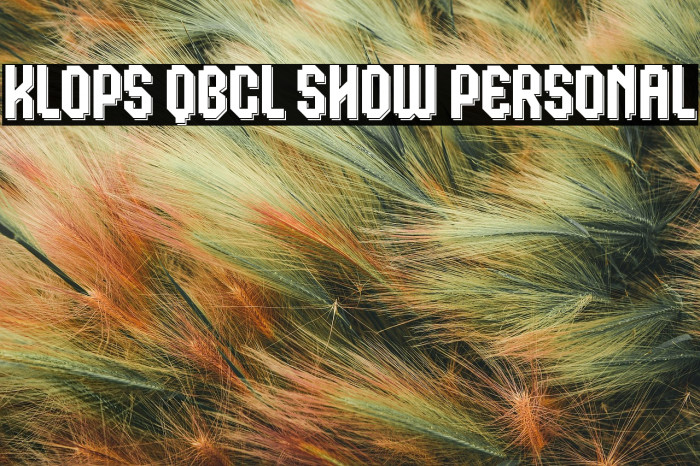 Klops Qbcl Shdw Personal Example 2