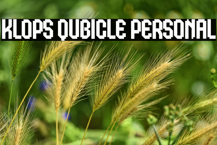 Klops Qubicle Personal Example 1