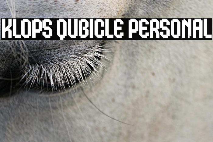 Klops Qubicle Personal Example 2