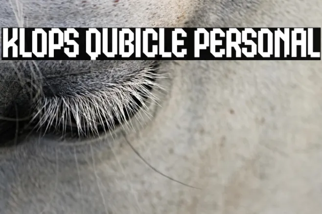 Klops Qubicle Personal Example 2