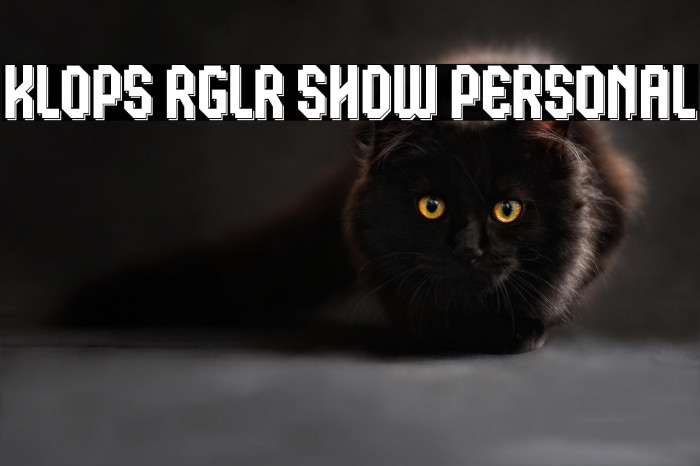 Klops Rglr Shdw Personal Example 1