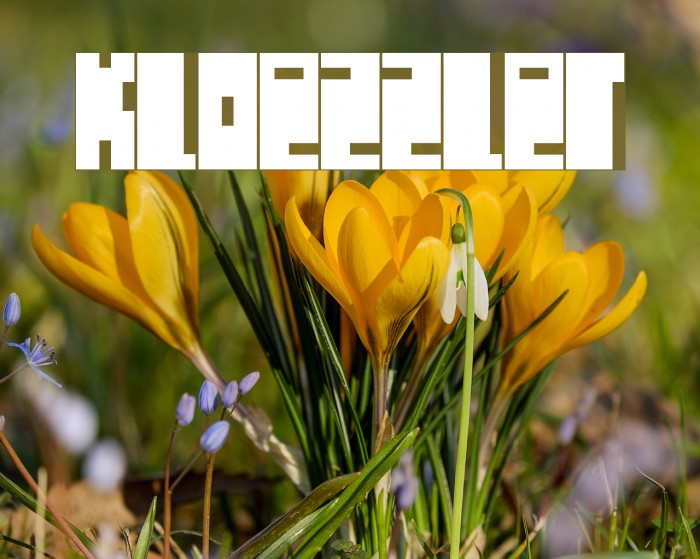 kloezzler Font examples