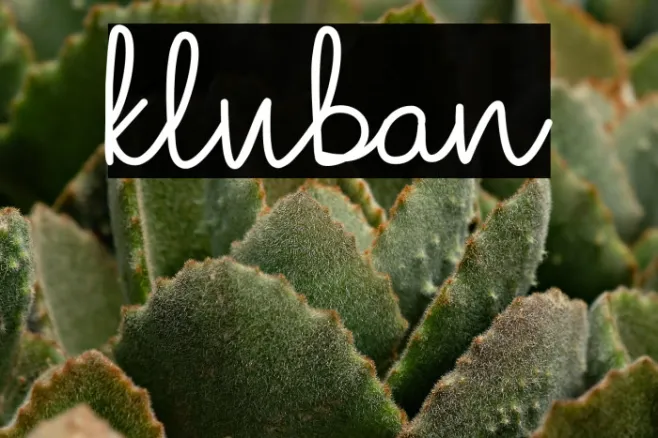 kluban Example 1