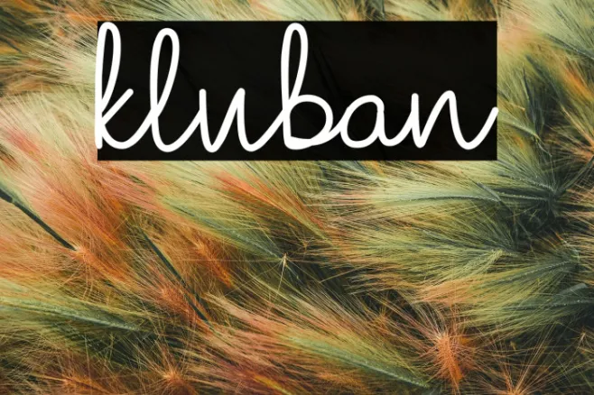 kluban Example 3