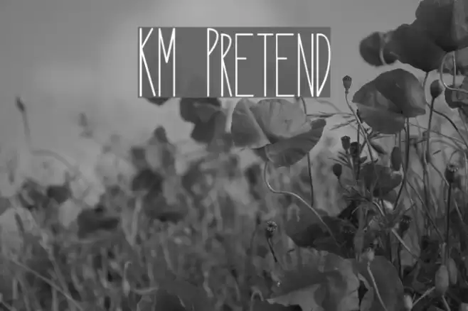KM Pretend Polices examples