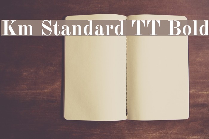 Km Standard TT Bold Font examples