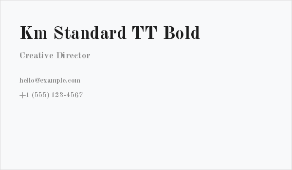Km Standard TT Bold Business Card