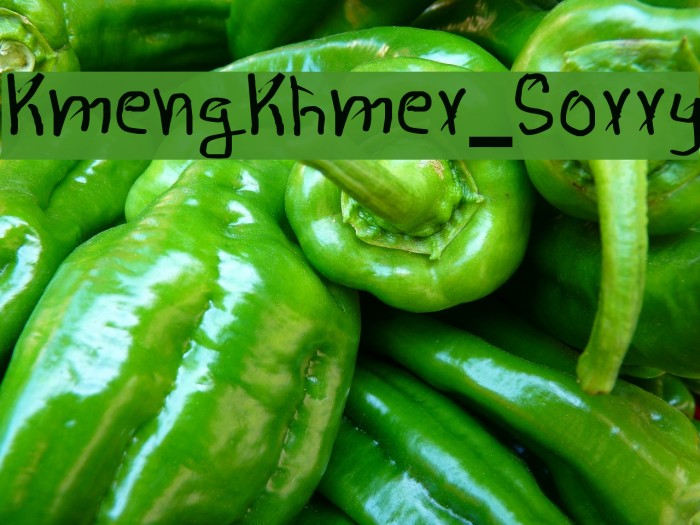 KmengKhmer_Sorry Font examples
