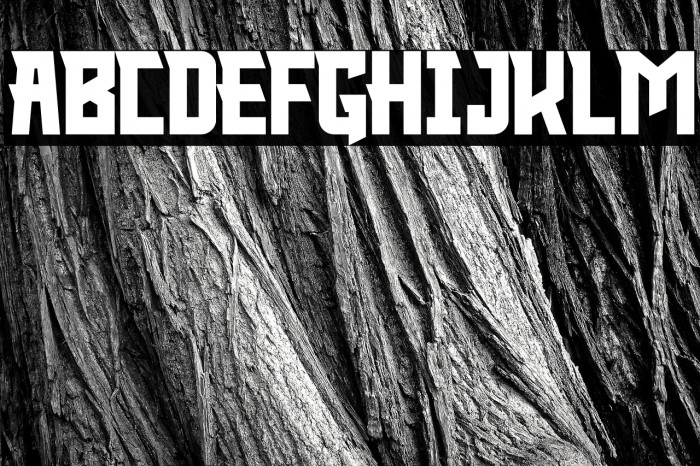 KNIGHT WARRIOR Example 1