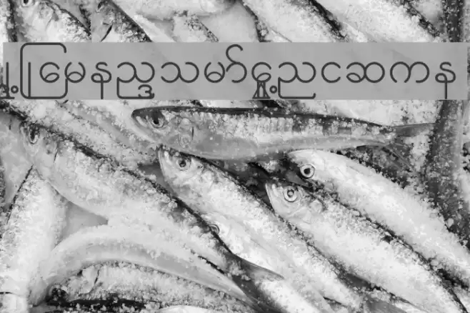 KNU-Karen Normal Unique Font examples