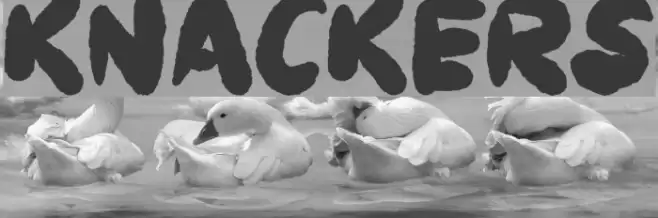 Knackers Font examples