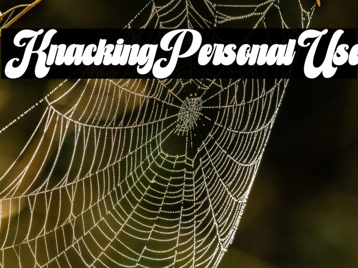 Knacking Personal Use Example 2