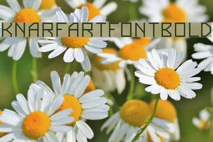 KnarfArtFont-Bold Font examples
