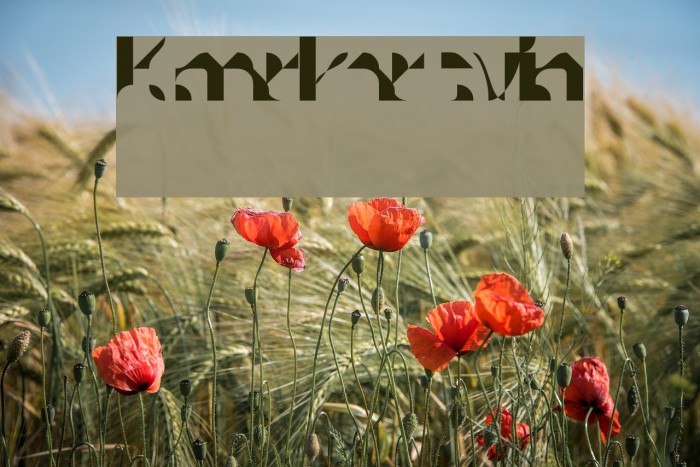 Knarkarsvin Font examples
