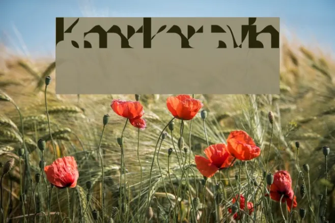 Knarkarsvin Example 2