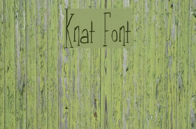 Knat Example 2