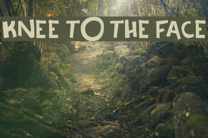 Knee to the face Example 2