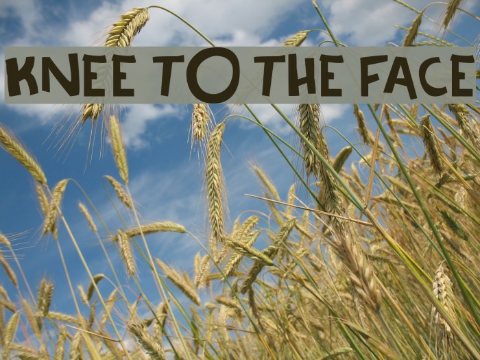 Knee to the face Example 3