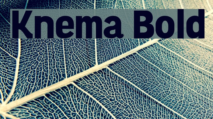 Knema Bold Font examples