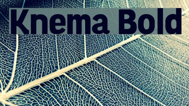Knema Bold Example 3