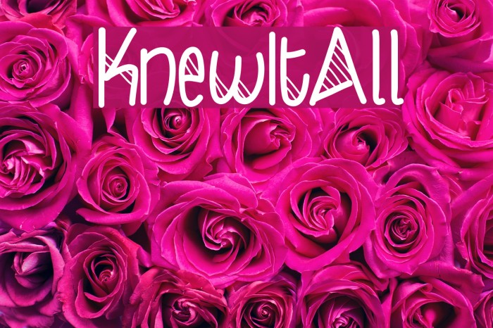 KnewItAll Font examples