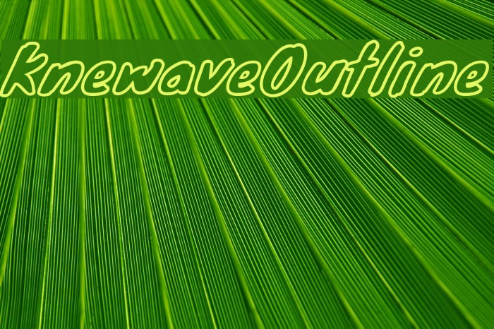 KnewaveOutline Example 3